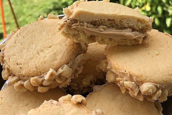 Nutcolata Sütlü Fındık Kreması 5kg